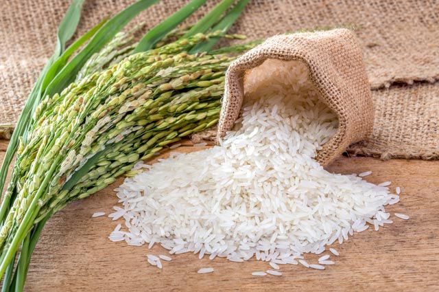 Всемирный день риса. Какой рис полезен? 