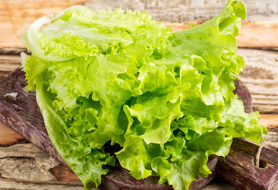 Чем полезен листовой салат