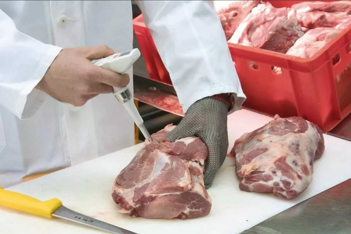 Оренбургская область. Итоги надзора за качеством и безопасностью мясной продукции