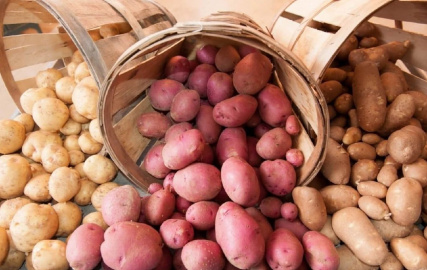 Как правильно выбрать качественный картофель