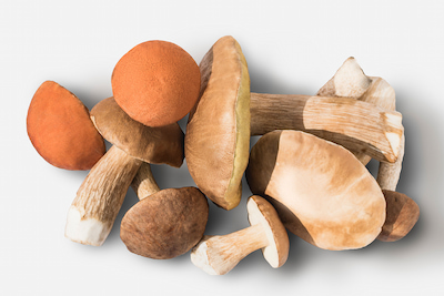 Восемь причин чаще есть грибы