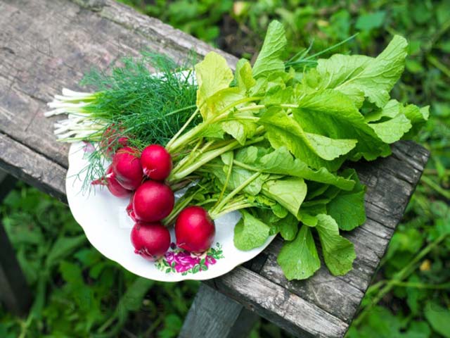 Роспотребнадзор рекомендует: сезонные продукты мая