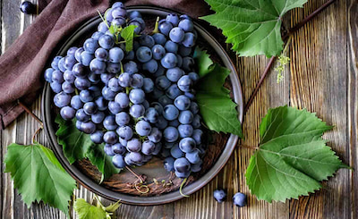 За что мы любим виноград: вкус и польза