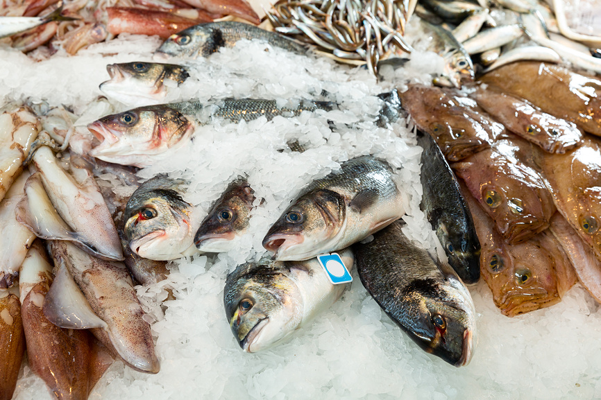 Ульяновская область. О результатах контроля за качеством и безопасностью рыбы и морепродуктов