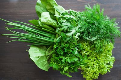 7 видов самой полезной зелени: от укропа до шпината