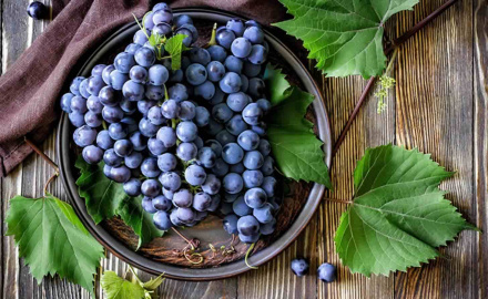 За что мы любим виноград: вкус и польза 