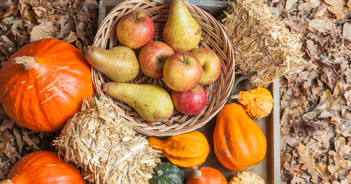 Питание по сезону. Продукты сентября 