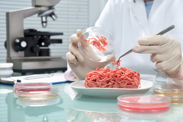 О качестве и безопасности мясной продукции