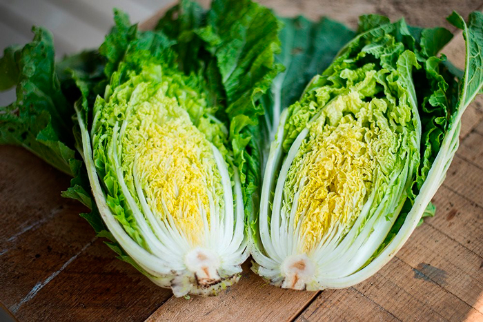 Капусту надо разрезать пополам и каждую половину немного надрезать в области кочерыжки. Каждую половину поднести под кран под струю воды и промыть таким образом, чтобы она "раскрылась". Теперь положим её в миску и каждый лист будем открывать и натирать со