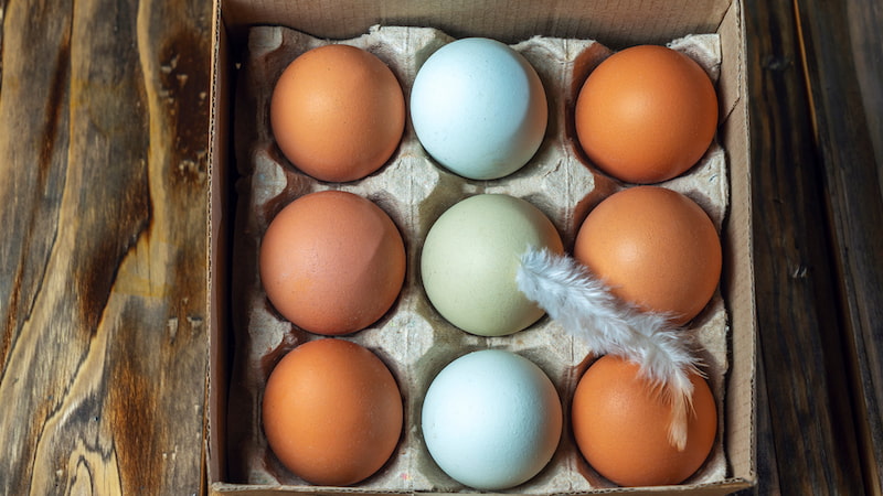 Диетолог назвала самый вредный способ приготовления яиц