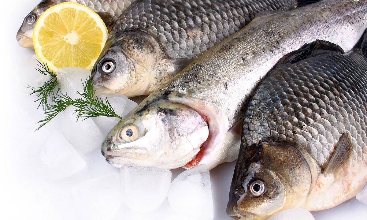 Сырая заготовка: рыба и морепродукты