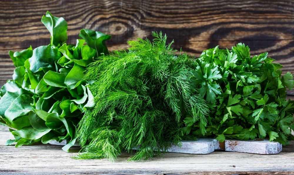 Все о пользе свежей зелени