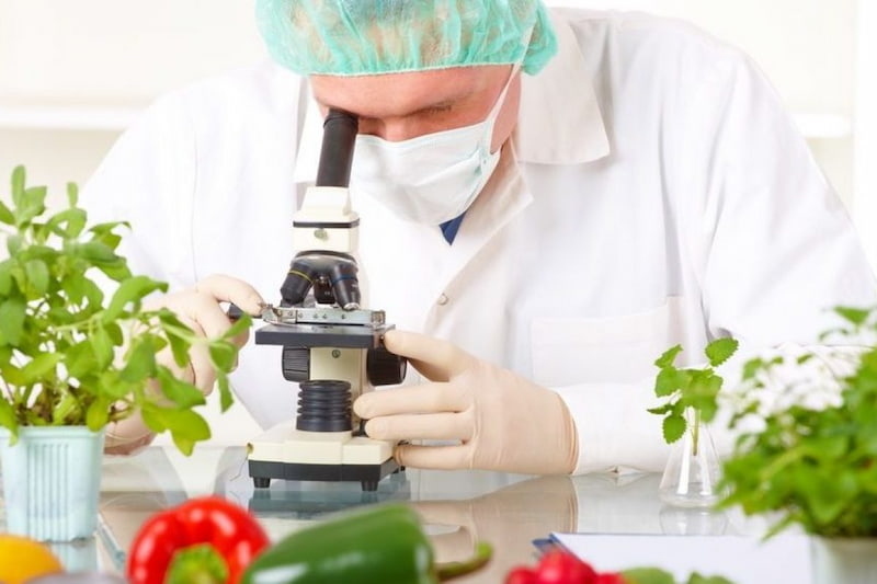 Всемирный день безопасности пищевых продуктов