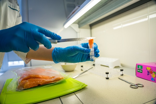 О качестве и безопасности рыбы и морепродуктов  