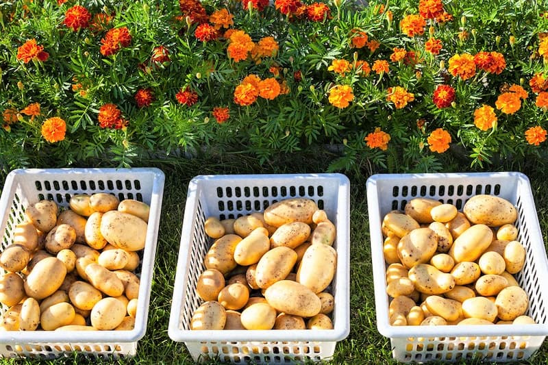 lori-0041168658-bigwww (1).jpg