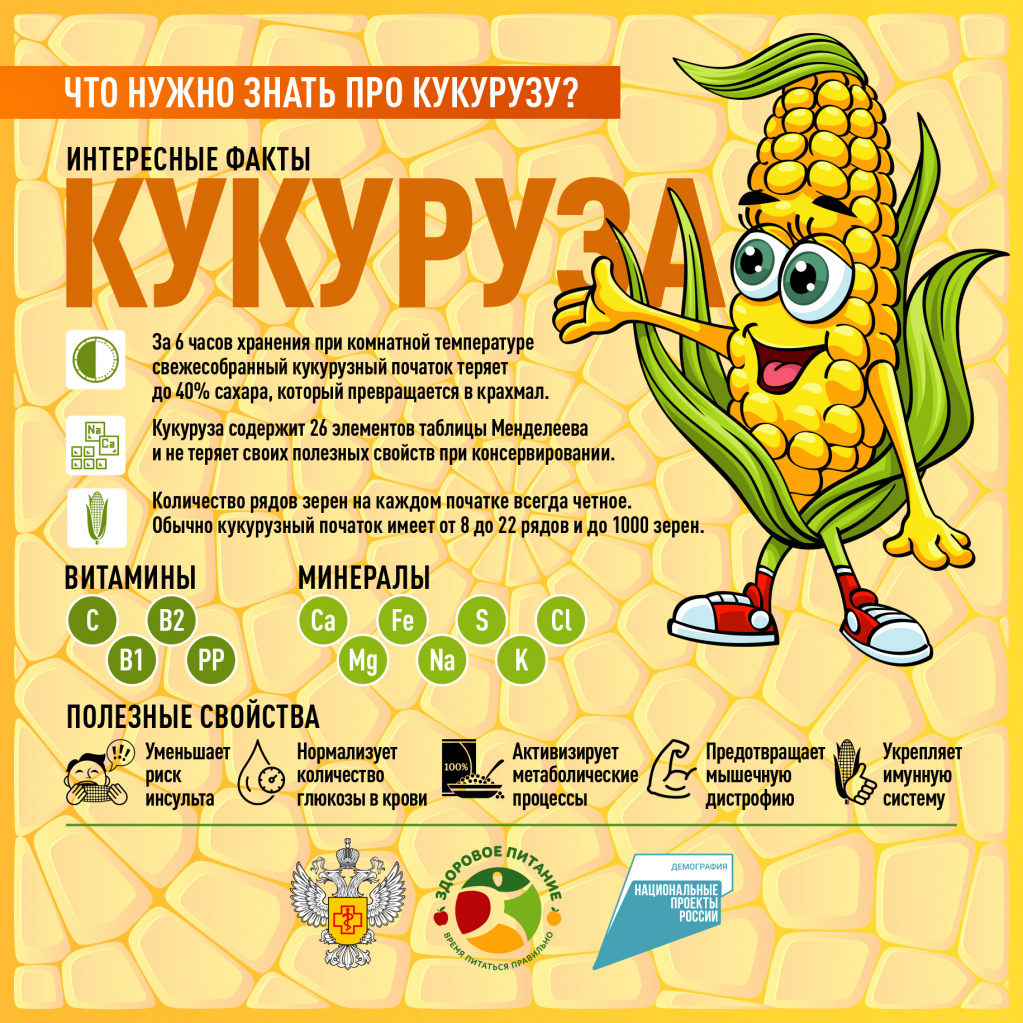 Что нужно знать про кукурузу_1.jpg