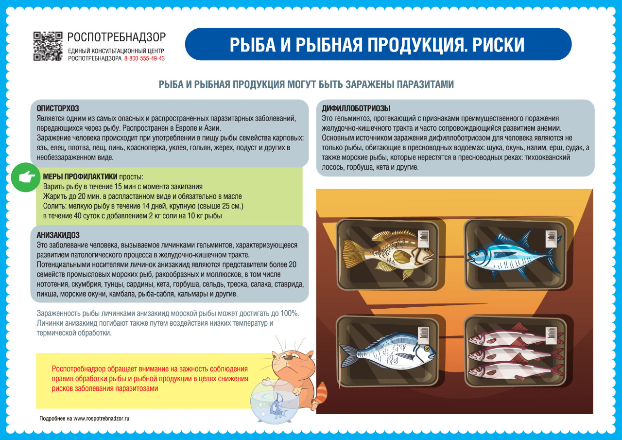 По каким принципам выбирают продукты